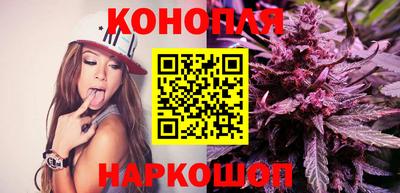 прущие крисы Абакан