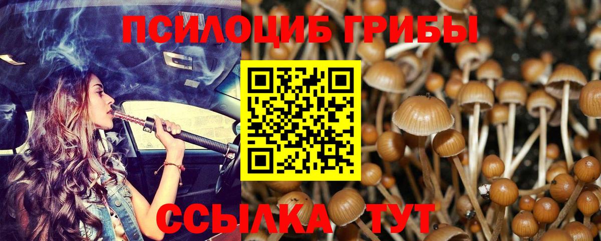 Галлюциногенные грибы мицелий Анапа